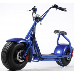 MOTO ELECTRICA CITYCOCO